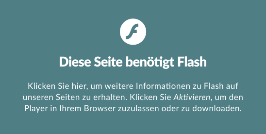 flash_info
